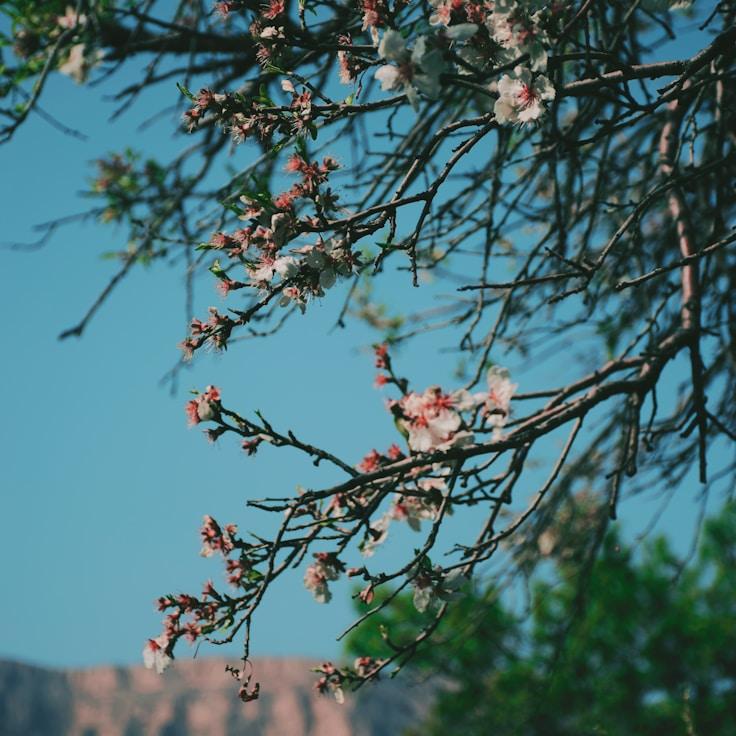 Low-impact nature route